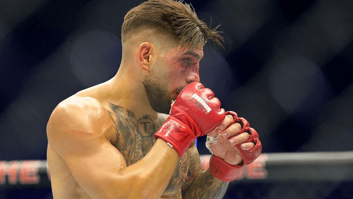 რა შეიცვალა UFC-ში ილია თოფურიას მარცხით?