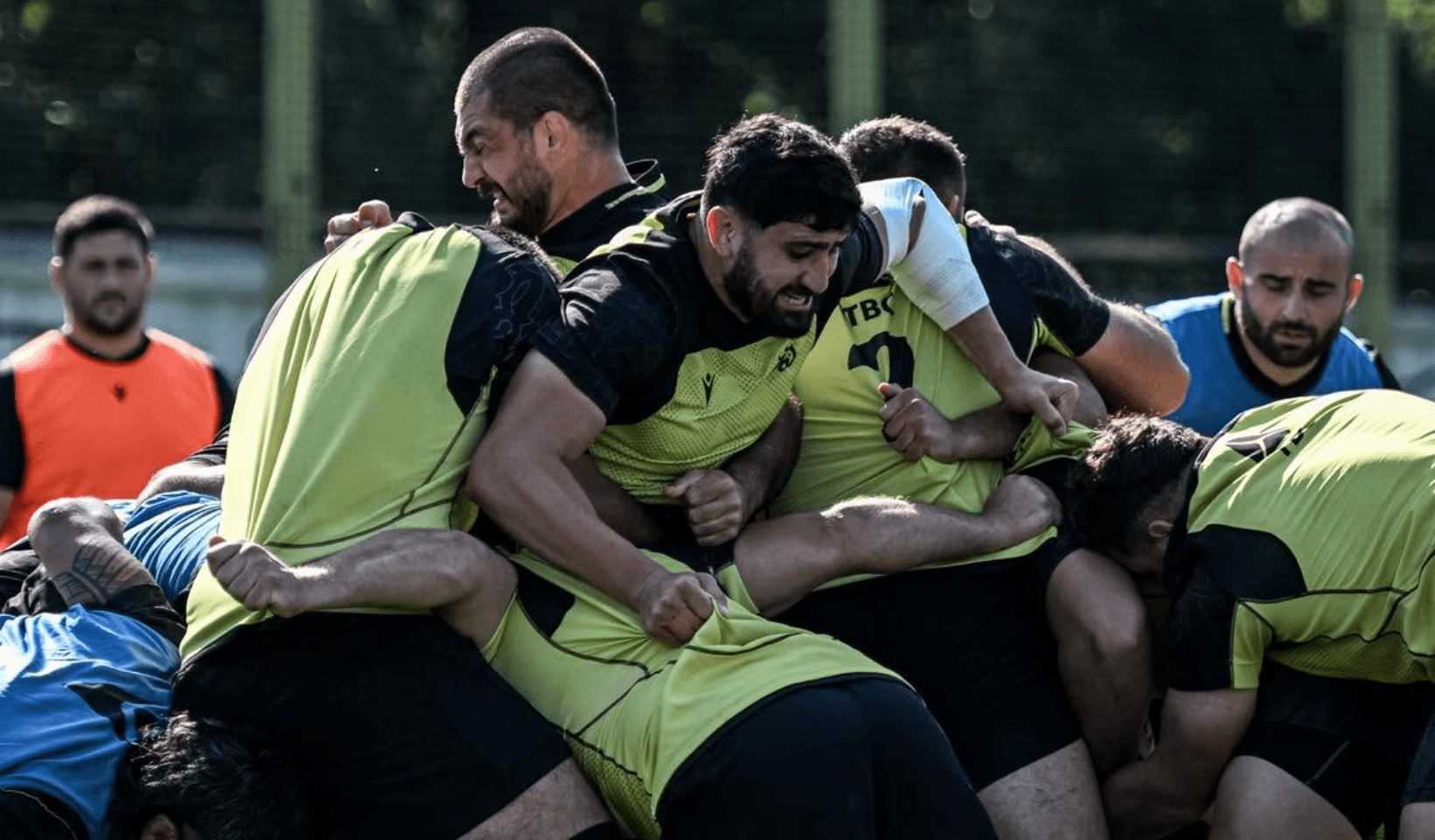 შავი ლომი ინგლისის ჩემპიონს შეერკინება